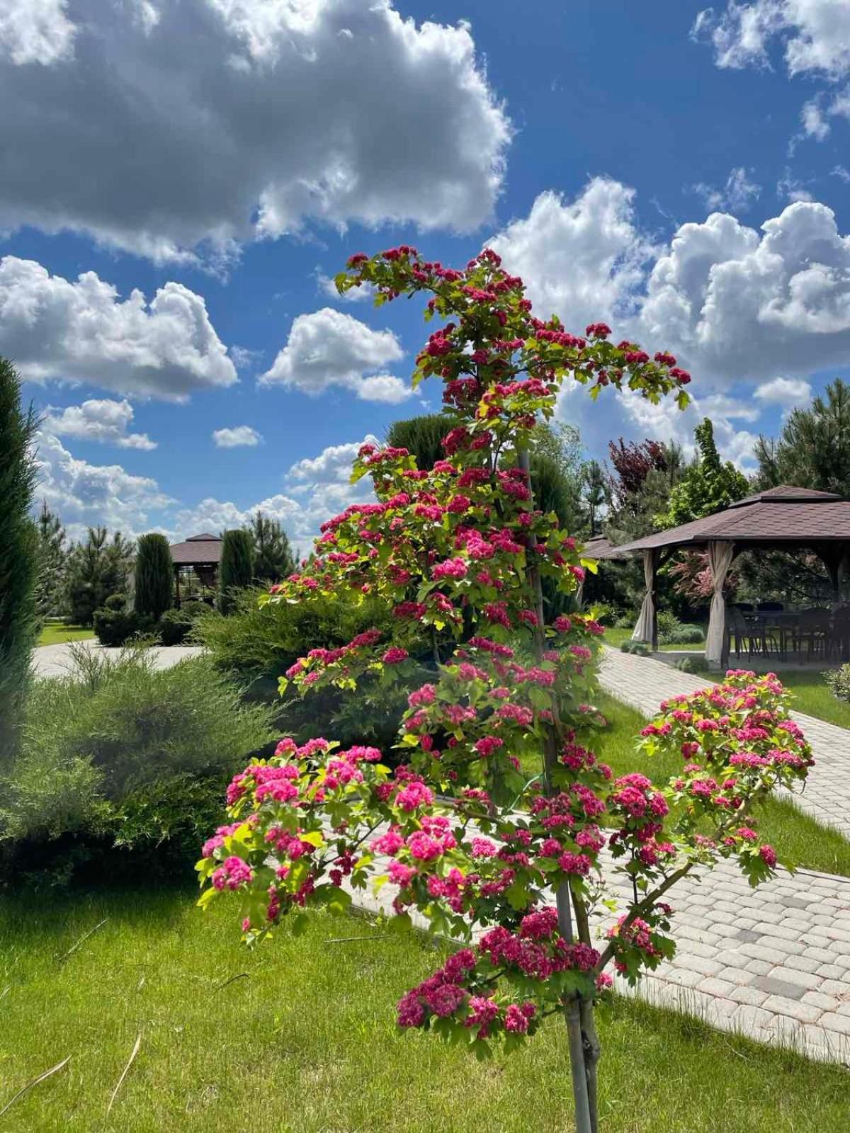 Ostrov River Club Novoselovka  Dış mekan fotoğraf